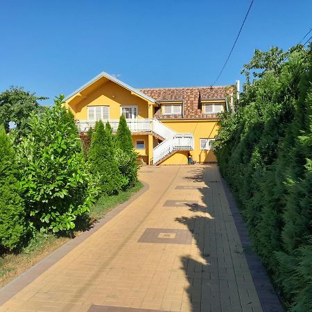 Golden House Apartments Čačak 外观 照片